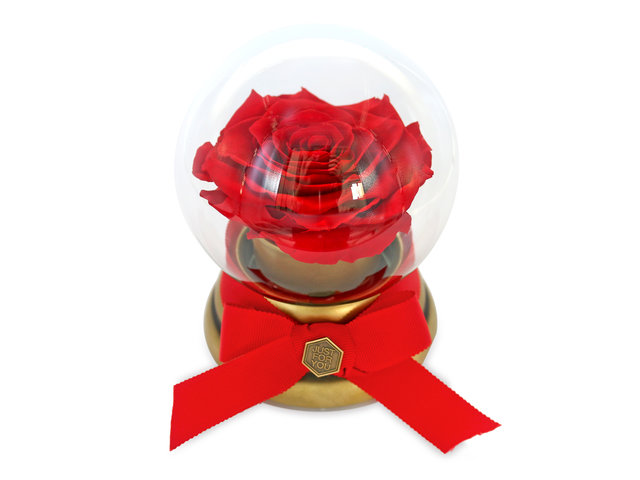 Preserved Forever Flower - 360 degree rotating rose music box - L45000092 Photo